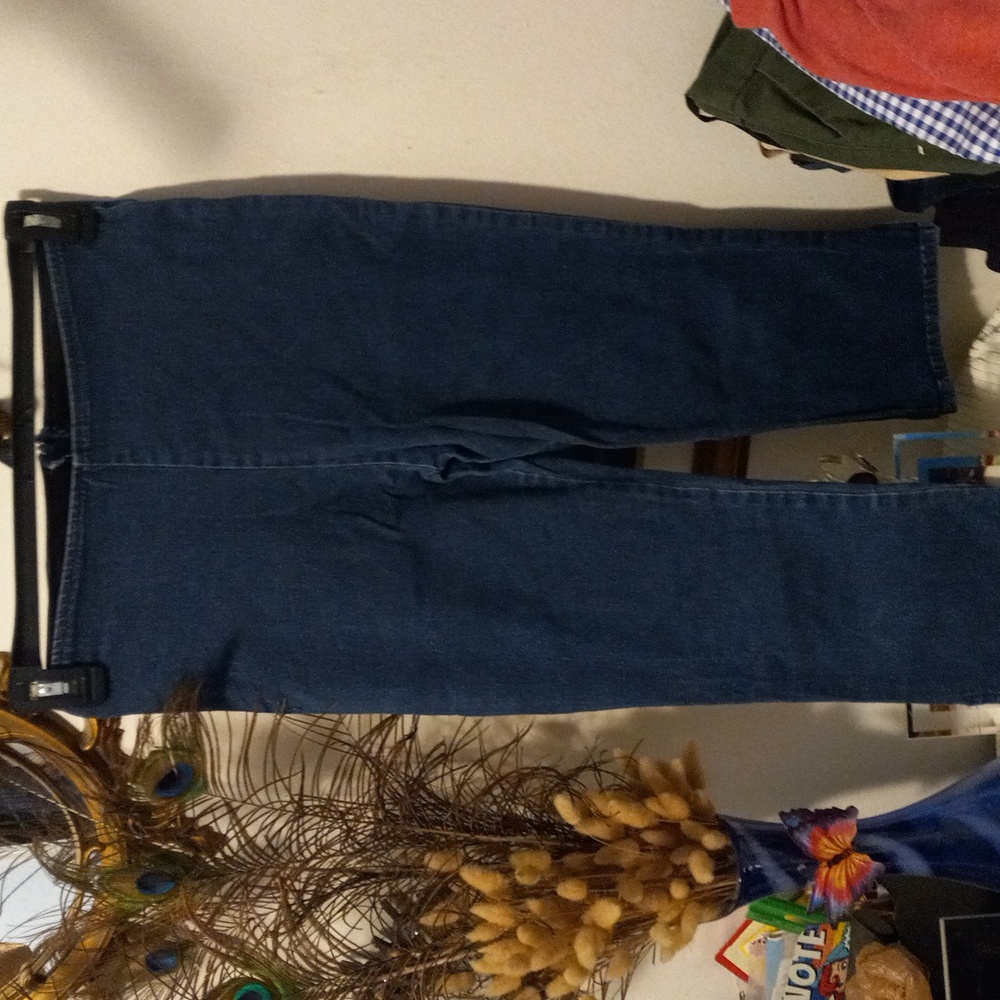 Capri pants, have a stretch band in waist , zip up in back.